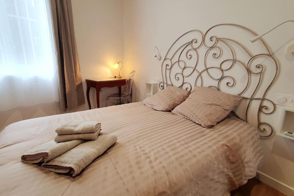 Classe 4 Etoiles - Cybele - Centre Ville 2 Chambres, Cour Privative Et Garage В'єнна Екстер'єр фото