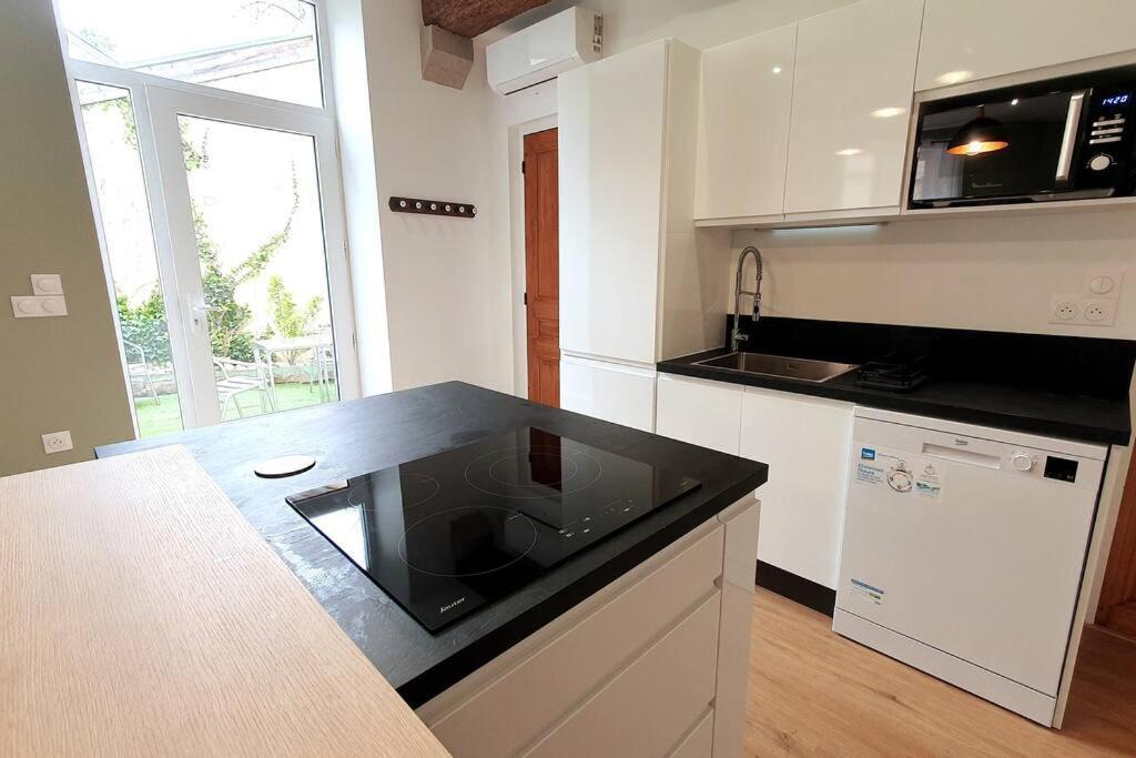 Classe 4 Etoiles - Cybele - Centre Ville 2 Chambres, Cour Privative Et Garage В'єнна Екстер'єр фото