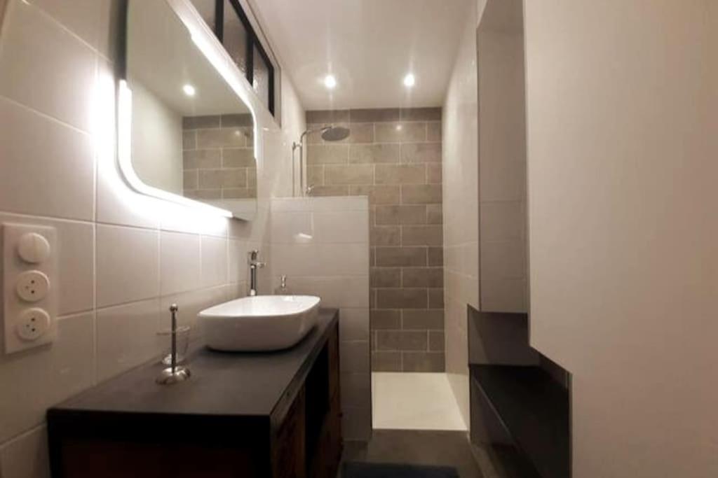 Classe 4 Etoiles - Cybele - Centre Ville 2 Chambres, Cour Privative Et Garage В'єнна Екстер'єр фото