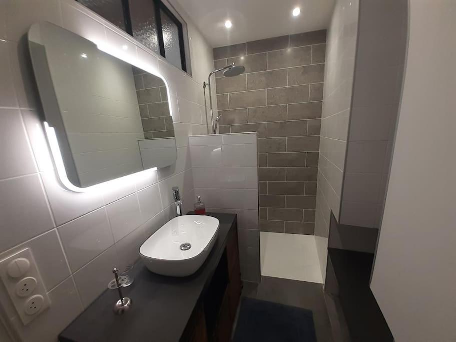 Classe 4 Etoiles - Cybele - Centre Ville 2 Chambres, Cour Privative Et Garage В'єнна Екстер'єр фото