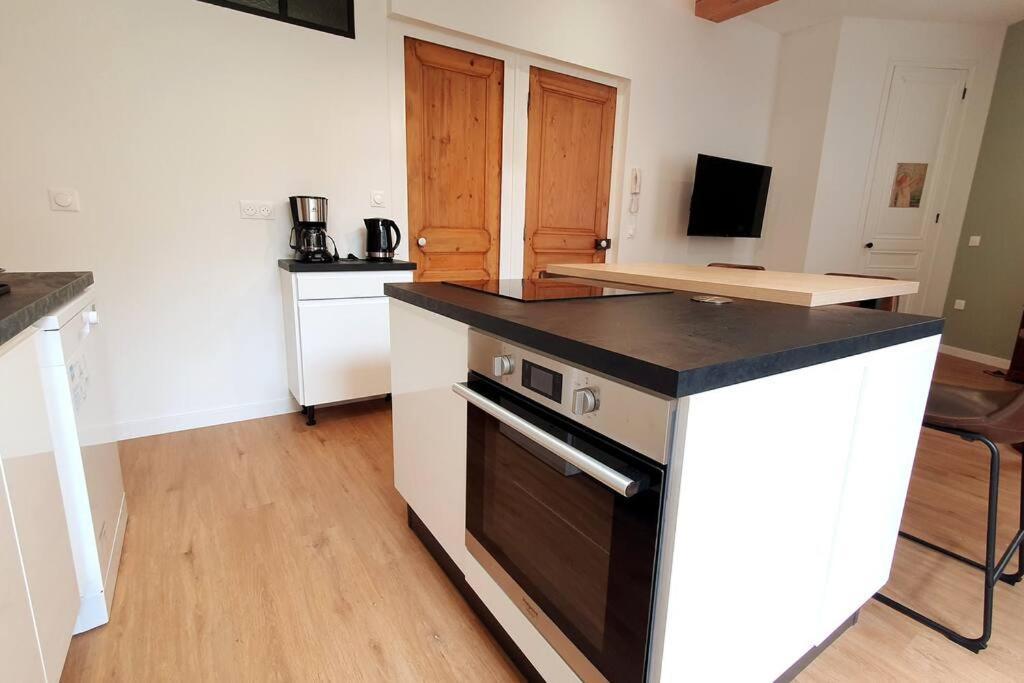 Classe 4 Etoiles - Cybele - Centre Ville 2 Chambres, Cour Privative Et Garage В'єнна Екстер'єр фото